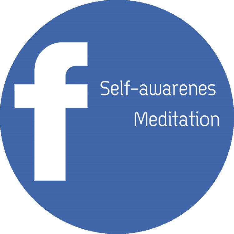 SelfAwarenessFB-PSD (Custom)