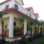 1530477_692840220756396_876770926_n