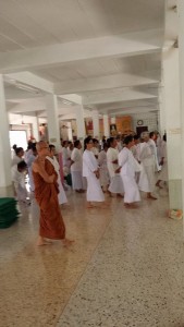 11092676_864657473601057_548721347_n