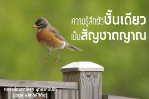 พระพุทธยานันทภิกขุ หลวงพ่อมหาดิเรก พุทธยานันโท Direk Saksith Deva Nanda การเจริญสติแบบเคลื่อนไหว แนวหลวงพ่อเทียน จิตตสุโภ