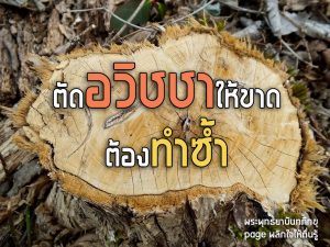 พระพุทธยานันทภิกขุ หลวงพ่อมหาดิเรก พุทธยานันโท Direk Saksith Deva Nanda การเจริญสติแบบเคลื่อนไหว แนวหลวงพ่อเทียน จิตตสุโภ