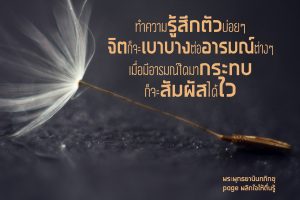 พระพุทธยานันทภิกขุ หลวงพ่อมหาดิเรก พุทธยานันโท Direk Saksith Deva Nanda การเจริญสติแบบเคลื่อนไหว แนวหลวงพ่อเทียน จิตตสุโภ
