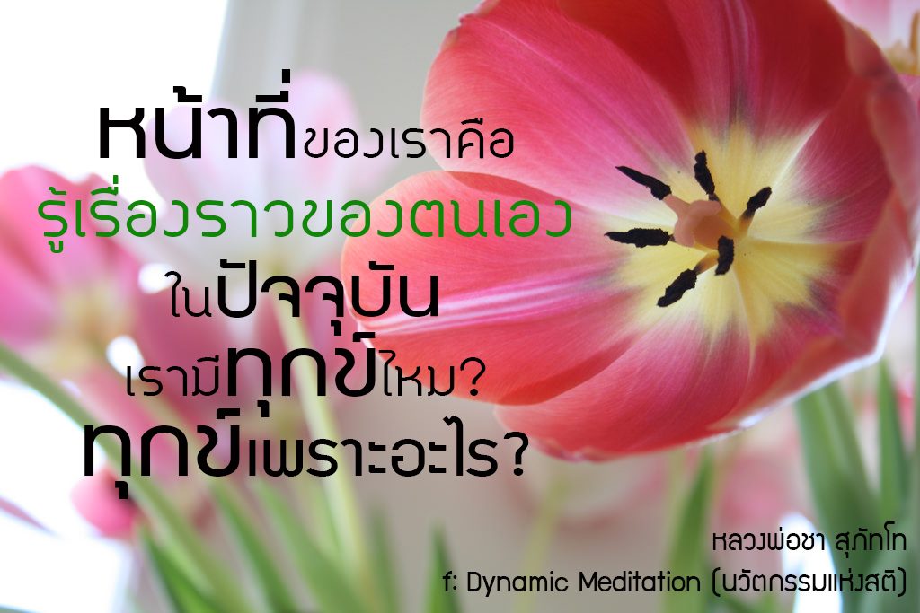 พระพุทธยานันทภิกขุ หลวงพ่อมหาดิเรก พุทธยานันโท Direk Saksith Deva Nanda การเจริญสติแบบเคลื่อนไหว แนวหลวงพ่อเทียน จิตตสุโภ Buddhism หลวงพ่อชา สุภัทโท