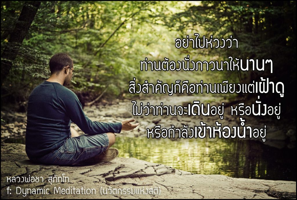 พระพุทธยานันทภิกขุ หลวงพ่อมหาดิเรก พุทธยานันโท Direk Saksith Deva Nanda การเจริญสติแบบเคลื่อนไหว แนวหลวงพ่อเทียน จิตตสุโภ Buddhism Vipassana วิปัสสนา ศาสนาพุทธ หลวงพ่อชา