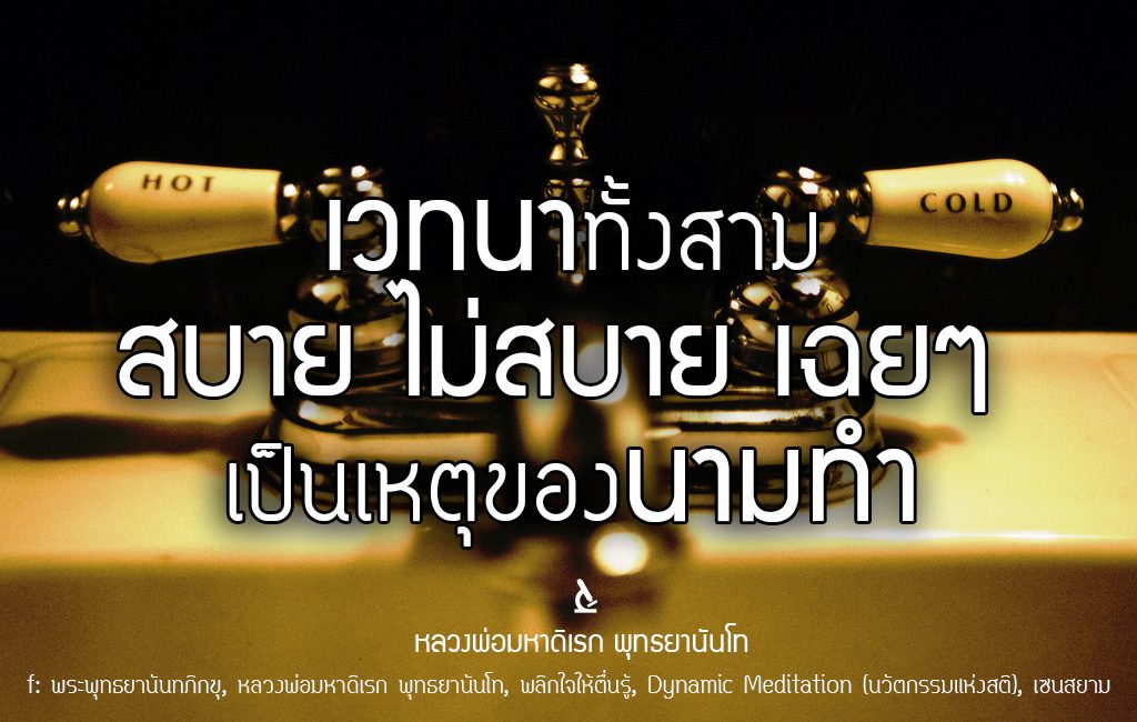 พระพุทธยานันทภิกขุ หลวงพ่อมหาดิเรก พุทธยานันโท Direk Saksith Deva Nanda การเจริญสติแบบเคลื่อนไหว แนวหลวงพ่อเทียน จิตตสุโภ
