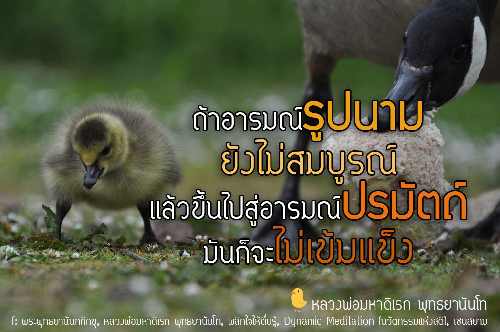 พระพุทธยานันทภิกขุ หลวงพ่อมหาดิเรก พุทธยานันโท Direk Saksith Deva Nanda การเจริญสติแบบเคลื่อนไหว แนวหลวงพ่อเทียน จิตตสุโภ