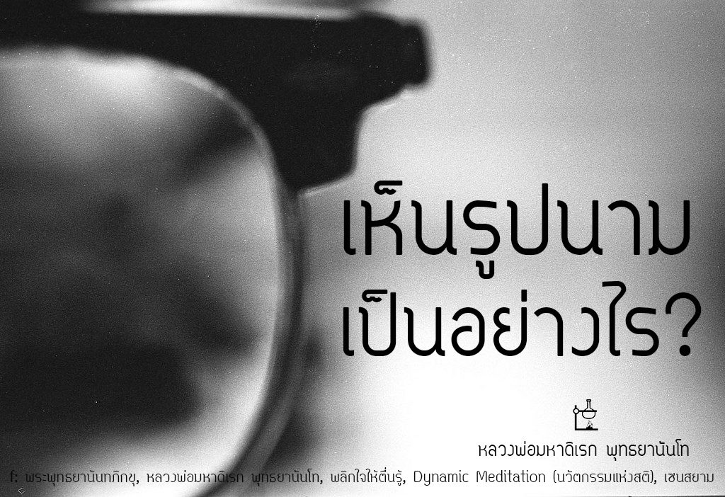 พระพุทธยานันทภิกขุ หลวงพ่อมหาดิเรก พุทธยานันโท Direk Saksith Deva Nanda การเจริญสติแบบเคลื่อนไหว แนวหลวงพ่อเทียน จิตตสุโภ