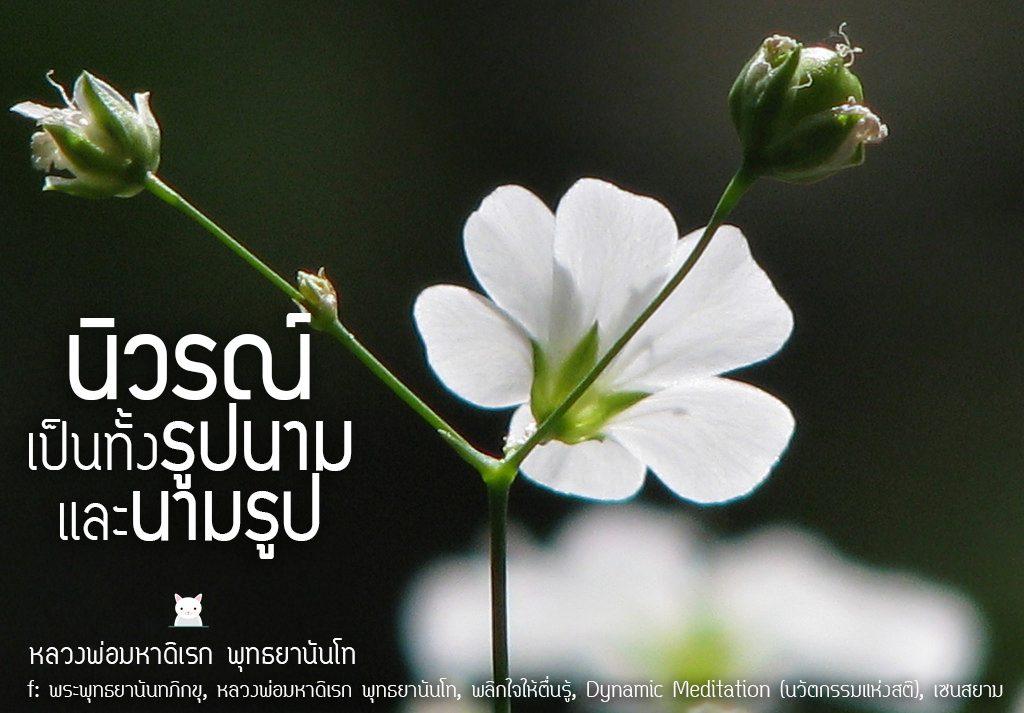 พระพุทธยานันทภิกขุ หลวงพ่อมหาดิเรก พุทธยานันโท Direk Saksith Deva Nanda การเจริญสติแบบเคลื่อนไหว แนวหลวงพ่อเทียน จิตตสุโภ