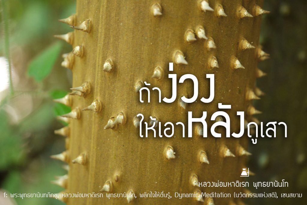 พระพุทธยานันทภิกขุ หลวงพ่อมหาดิเรก พุทธยานันโท Direk Saksith Deva Nanda การเจริญสติแบบเคลื่อนไหว แนวหลวงพ่อเทียน จิตตสุโภ