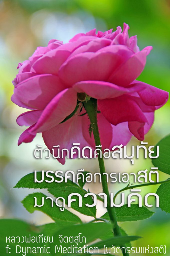 พระพุทธยานันทภิกขุ หลวงพ่อมหาดิเรก พุทธยานันโท Direk Saksith Deva Nanda การเจริญสติแบบเคลื่อนไหว แนวหลวงพ่อเทียน จิตตสุโภ