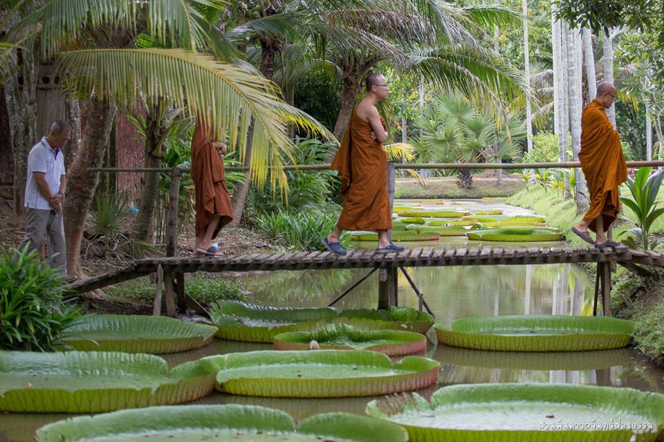 พระพุทธยานันทภิกขุ, หลวงพ่อมหาดิเรก พุทธยานันโท, Direk Saksith, Deva Nanda, การเจริญสติแบบเคลื่อนไหว แนวหลวงพ่อเทียน จิตตสุโภ