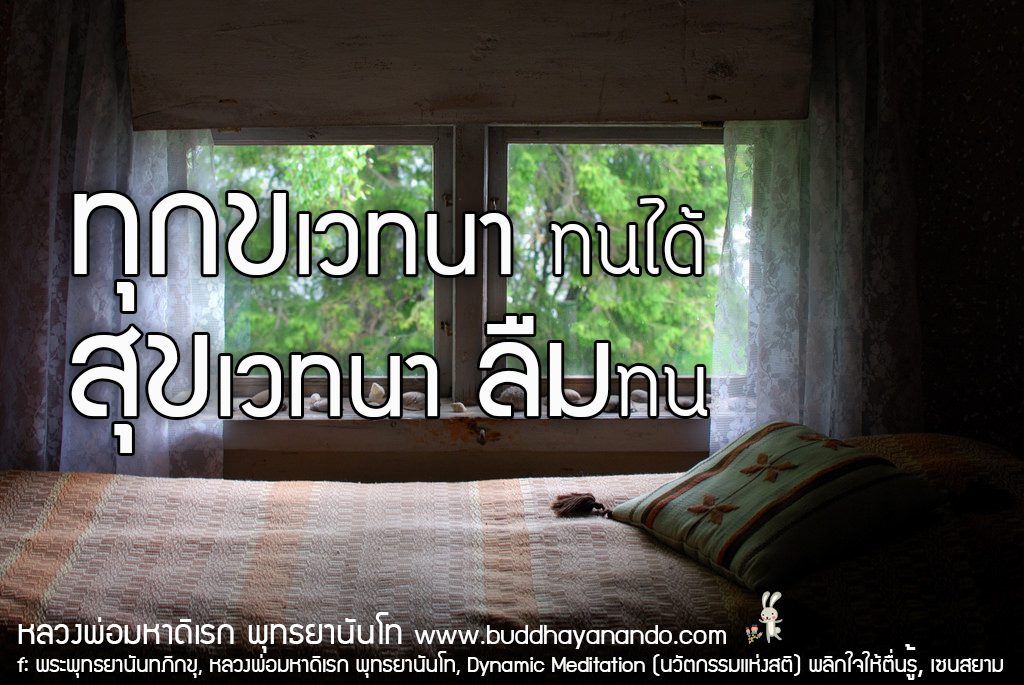 พระพุทธยานันทภิกขุ หลวงพ่อมหาดิเรก พุทธยานันโท Direk Saksith Deva Nanda การเจริญสติแบบเคลื่อนไหว แนวหลวงพ่อเทียน จิตตสุโภ Buddhism Vipassana วิปัสสนา ศาสนาพุทธ พุทธศาสนา