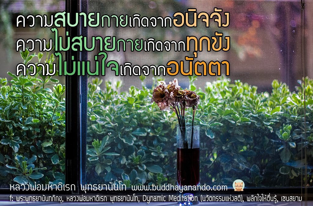 พระพุทธยานันทภิกขุ หลวงพ่อมหาดิเรก พุทธยานันโท Direk Saksith Deva Nanda การเจริญสติแบบเคลื่อนไหว แนวหลวงพ่อเทียน จิตตสุโภ Buddhism Vipassana วิปัสสนา ศาสนาพุทธ พุทธศาสนา