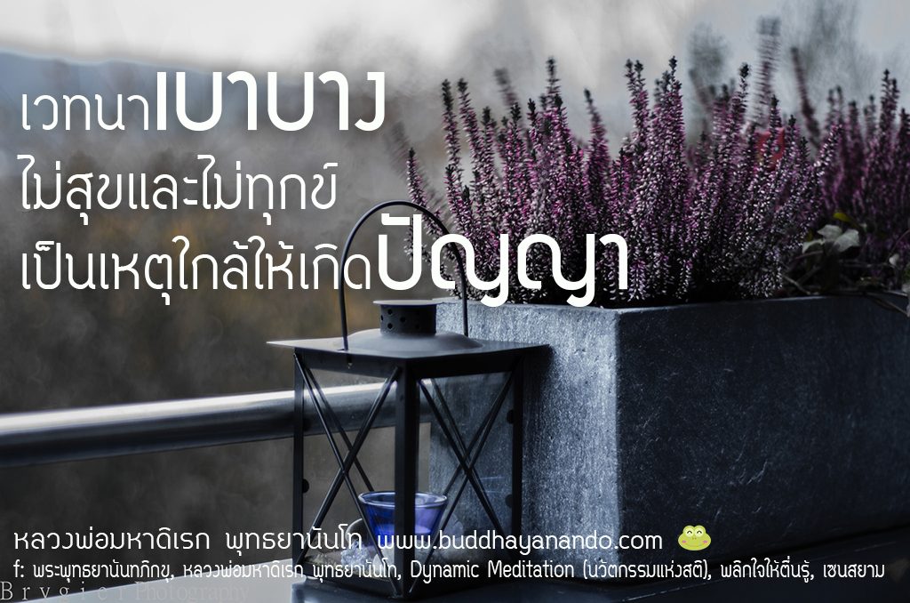 พระพุทธยานันทภิกขุ หลวงพ่อมหาดิเรก พุทธยานันโท Direk Saksith Deva Nanda การเจริญสติแบบเคลื่อนไหว แนวหลวงพ่อเทียน จิตตสุโภ Buddhism Vipassana วิปัสสนา ศาสนาพุทธ พุทธศาสนา