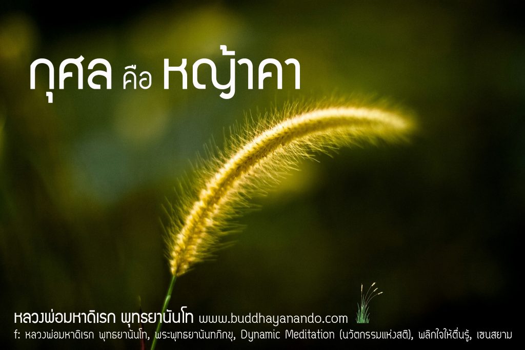 พระพุทธยานันทภิกขุ หลวงพ่อมหาดิเรก พุทธยานันโท Direk Saksith Deva Nanda การเจริญสติแบบเคลื่อนไหว แนวหลวงพ่อเทียน จิตตสุโภ Buddhism Vipassana วิปัสสนา ศาสนาพุทธ พุทธศาสนา