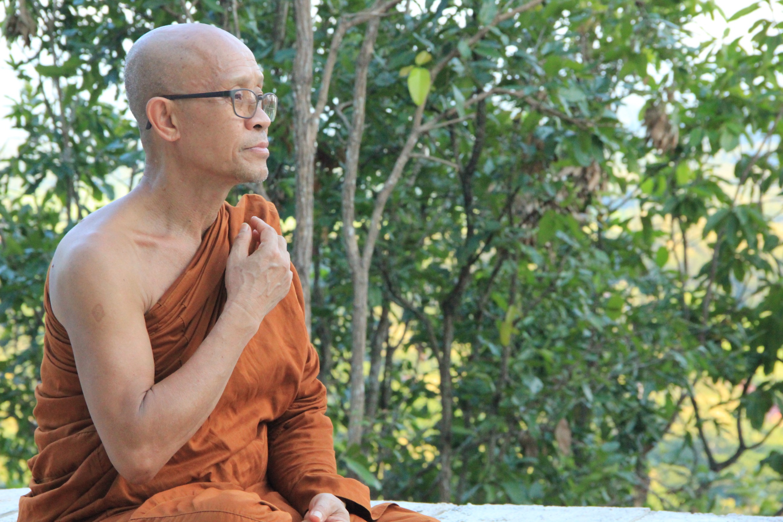 พระพุทธยานันทภิกขุหลวงพ่อมหาดิเรกพุทธยานันโทDirekSaksithDevaNandaดิเรกศักดิ์สิทธิ์การเจริญสติแบบเคลื่อนไหวแนวหลวงพ่อเทียนจิตตสุโภBuddhismVipassanaวิปัสสนาศาสนาพุทธพุทธศาสนา